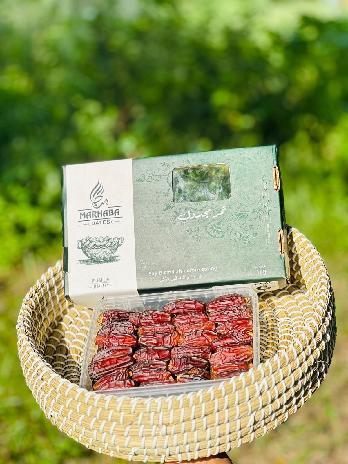 WhatsApp Image 2025-08-12 at 1.39.23 PM